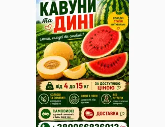 Зображення для оголошення Продаж кавунів та динь. Оптом з поля