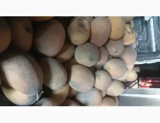 Зображення для оголошення Продам диню