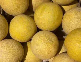 Зображення для оголошення Продам диню оптом