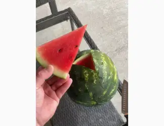 Зображення для оголошення Pepeni harbuz