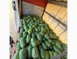 Зображення для оголошення Pepeni romania