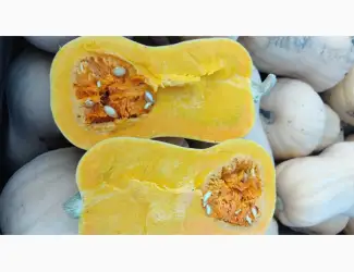 Зображення для оголошення Продам гарбуз сорт Матільда