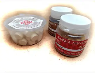 Зображення для оголошення Пігулки з мухомора червоного (Amanita Muscaria) та пантерного (Amanita Pantherina)