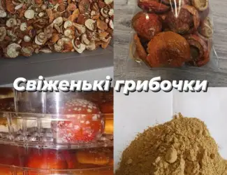 Зображення для оголошення Лікувальні гриби оптом
