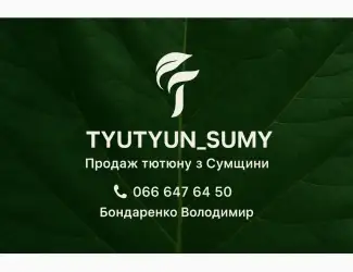 Зображення для оголошення Продам товарный тютюн