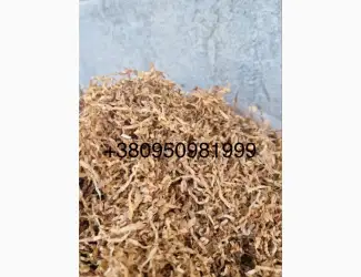 Зображення для оголошення Продам ТЮТЮН