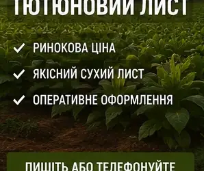 Зображення для оголошення Купимо тютюновий лист за ринковою ціною