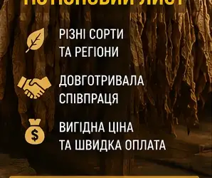 Зображення для оголошення Потрібен натуральний тютюновий лист для подальшої переробки