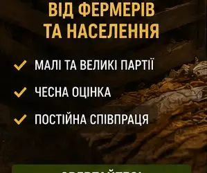 Зображення для оголошення Закупка тютюнового листа від населення та фермерів