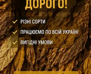 Зображення для оголошення Купуємо висушений лист тютюну дорого