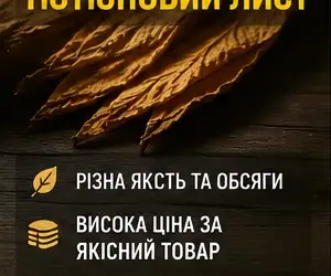 Зображення для оголошення На постійній основі купимо лист тютюну