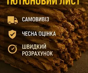 Зображення для оголошення Закуповуємо тютюновий лист по хорошій ціні