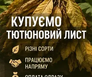 Зображення для оголошення Потрібен тютюновий лист у великих та малих об’ємах