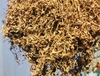 Зображення для оголошення Продам табак Вірджинія Мальборо Винстон парламент Міленіум Берлей