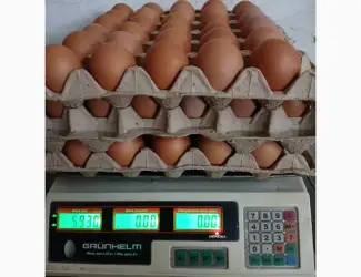 Зображення для оголошення Куриные яйца