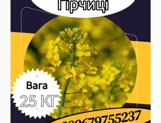 Насіння Гірчиці. Семена Горчицы. Сидерати. Насіння Гірчиці Біла
