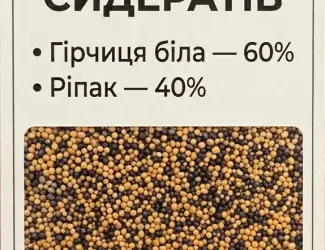 Сидерат. Суміш сидератів Гірчиця біла - 60%. Ріпак -40%.Біла гірчиця. Ріпак