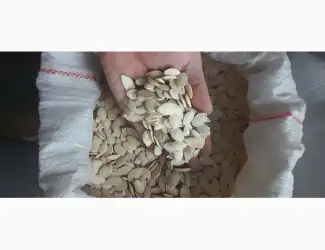 Продам насіння українки багатоплідної
