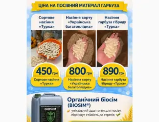 Посівний матеріал гібриду «Турка»