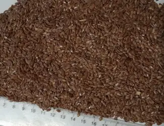 Зображення для оголошення Продаж насіння льону. Льон коричневий та золотий