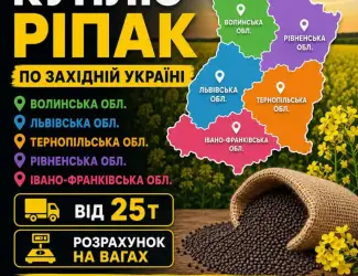 Куплю ріпак по західній Україні. Розрахунок на вагах