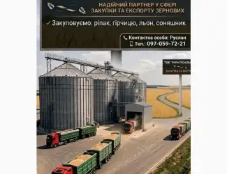 Компанія купить Ріпак та сонях! Працюємо з посередниками! Вигідні умови