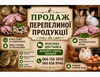 Зображення для оголошення Продам перепелину продукцію яйце мясо