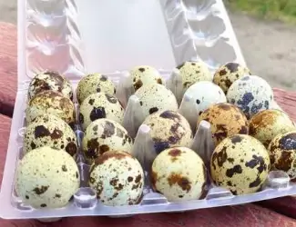 Зображення для оголошення Яйця перепілки