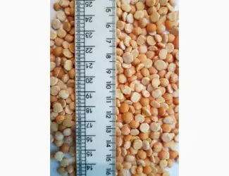 Зображення для оголошення Продам крупу горох шліфований колотий
