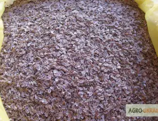 Зображення для оголошення Продам семена укропа