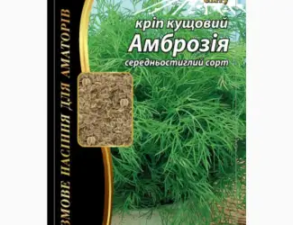 Зображення для оголошення Кріп кущовий "Амброзія" Агромаксі