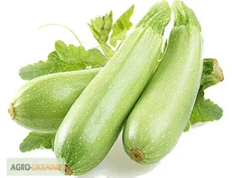 Зображення для оголошення Продам семена кабачков