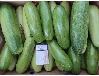 Зображення для оголошення Продам кабачки 2 сорт