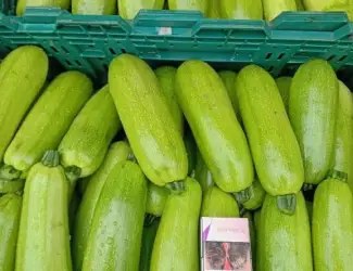 Зображення для оголошення Продам кабачок 1 сорт