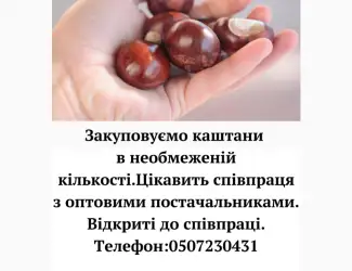 Зображення для оголошення Закуповуємо сирий каштан в сезон