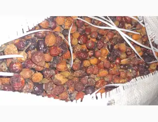 Продам шипшину від населення