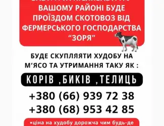 Зображення для оголошення Куплю ВРХ