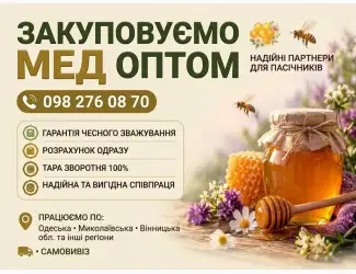 Закуповуємо мед оптом на постійній основі