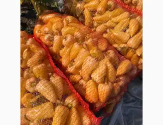 Зображення для оголошення Продам перец
