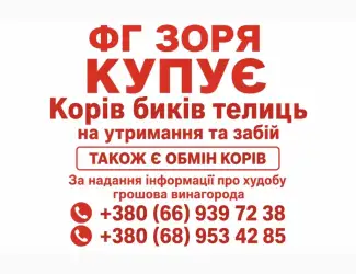 Зображення для оголошення Закупівля ВРХ