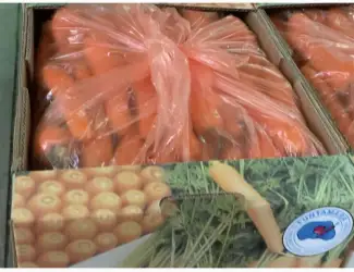 Зображення для оголошення Продаж морква для борщового набору оптом оптом від 5 тонн Кіровоградська обл