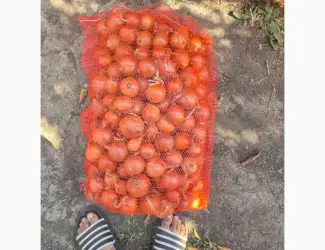 Зображення для оголошення Продам лук