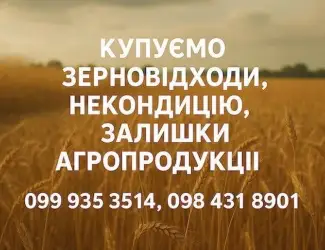 Зображення для оголошення Закуповуємо некондиційне зерно та побічну агропродукцію