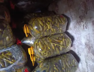 Продаю квашені огірки оптом та роздріб в баклагах