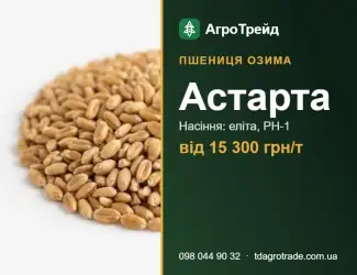 Зображення для оголошення Пшениця Астарта — насіння, від 15 300 грн/т