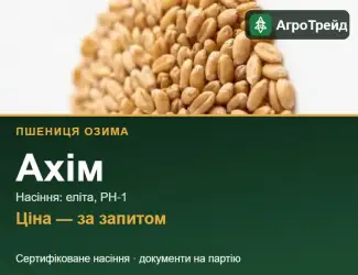 Зображення для оголошення Пшениця Ахім — насіння еліта, РН-1