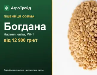Зображення для оголошення Пшениця Богдана — насіння, від 12 900 грн/т