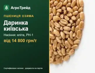 Зображення для оголошення Пшениця Даринка київська — насіння