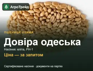 Зображення для оголошення Пшениця Довіра одеська — насіння еліта, РН-1