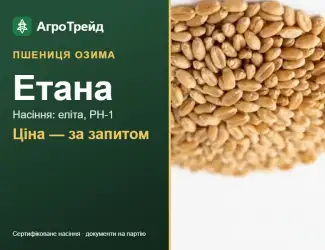 Зображення для оголошення Пшениця Етана — насіння еліта, РН-1
